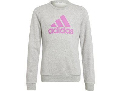 ADIDAS Kinder Sweatshirt Essentials Big Logo Cotton Silber