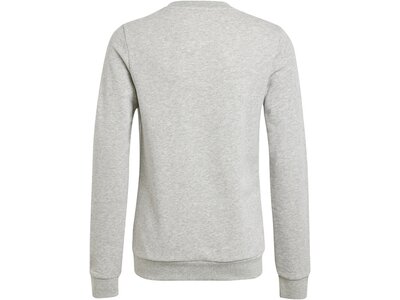 ADIDAS Kinder Sweatshirt Essentials Big Logo Cotton Silber