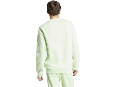 ADIDAS Herren Sweatshirt Essentials Fleece (normal & lang) Grau