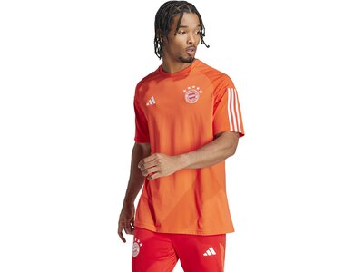 ADIDAS Herren Fanshirt FCB CO TEE Orange