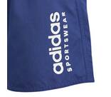 Vorschau: ADIDAS Kinder Badeshorts Sportswear Essentials Logo CLX Kids