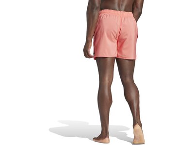ADIDAS Herren Shorts Solid CLX Short-Length Braun