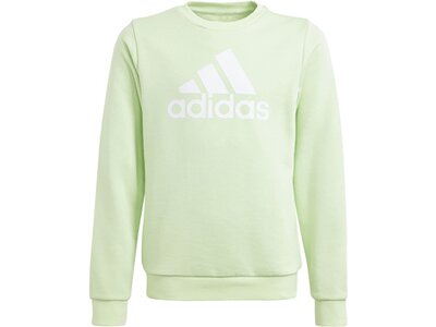 ADIDAS Kinder Sweatshirt Essentials Big Logo Cotton Grau