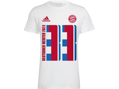 ADIDAS Herren Fanshirt FC Bayern München Meister Pink