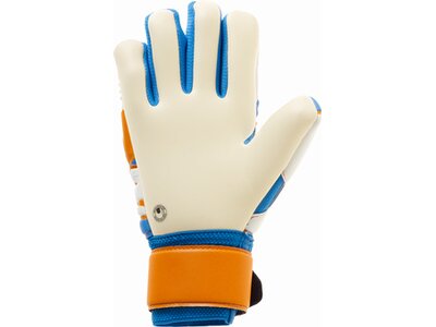 UHLSPORT Equipment - Torwarthandschuhe Absolutgrip HN Pro TW-Handschuh Kids Blau