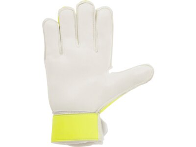 UHLSPORT Equipment - Torwarthandschuhe Pure Alliance Starter TW-Handschu Weiß