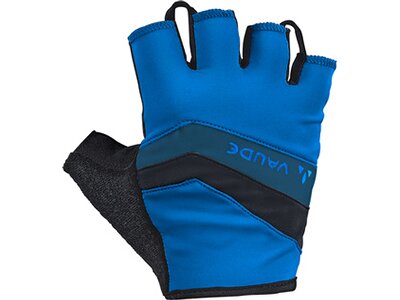 Herren Handschuhe Men's Active Blau