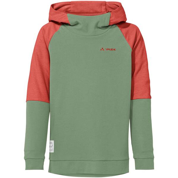 Kids Hylax Hooded Pullover 366 158