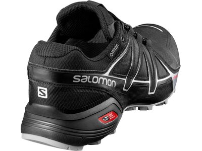 SALOMON Herren Schuhe SPEEDCROSS VARIO 2 GT Grau