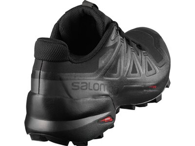 SALOMON Damen Schuhe SPEEDCROSS 5 GTX Grau
