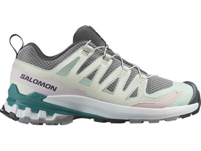 SALOMON Damen Trailrunningschuhe SHOES XA PRO 3D V9 W Gull/White/Bleaaq Silber