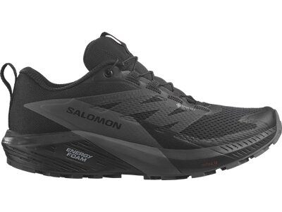 SALOMON Damen Trailrunningschuhe SHOES SENSE RIDE 5 GTX W Black/Mgnt/Blac Grau