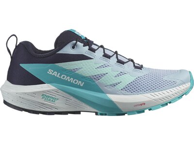 SALOMON Damen Trailrunningschuhe SHOES SENSE RIDE 5 W Cashbl/Carbon/Peabl Grau