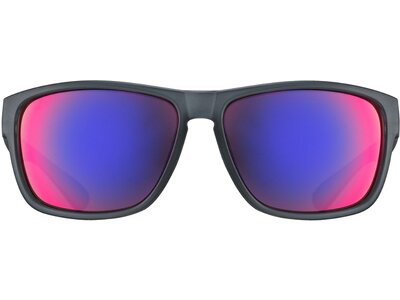 UVEX Sonnenbrille LGL 36 CV Grau