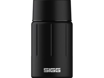 SIGG Thermotrinkflasche Gemstone FJ Obsidian Silber