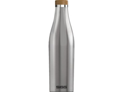 SIGG Trinkbehälter Trinkflasche Meridian Brushed Silber