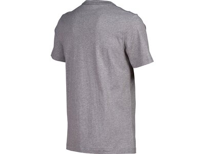 ARENA Herren Shirt MEN'S T-SHIRT SOLID COTTON Grau