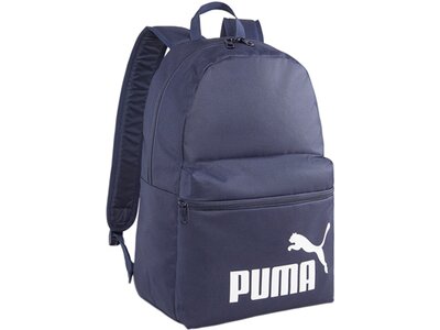 PUMA Rucksack Phase Backpack Grau