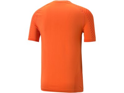 PUMA Herren Shirt TRAIN FORMKNIT SEAMLESS TE Orange