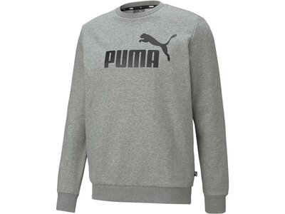 PUMA Herren Sweatshirt ESS Big Logo Crew FL Grau