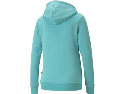 PUMA Damen Sweatshirt ESS Logo Hoodie FL (s) Blau