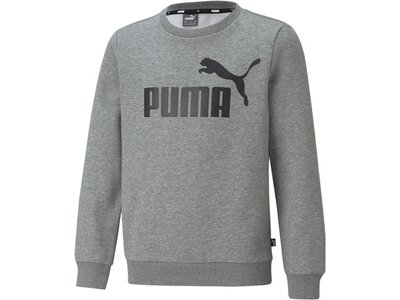 PUMA Kinder Sweatshirt ESS Big Logo Crew FL B Grau
