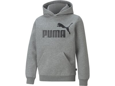 PUMA Kinder Sweatshirt ESS Big Logo Hoodie FL B Grau