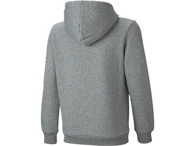 PUMA Kinder Sweatshirt ESS Big Logo Hoodie FL B Grau