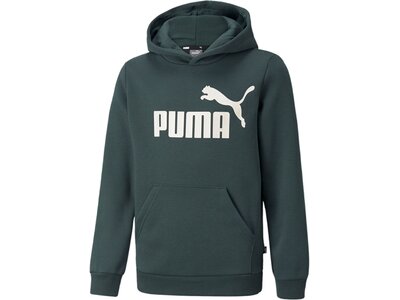 PUMA Kinder Sweatshirt ESS Big Logo Hoodie FL B Grün