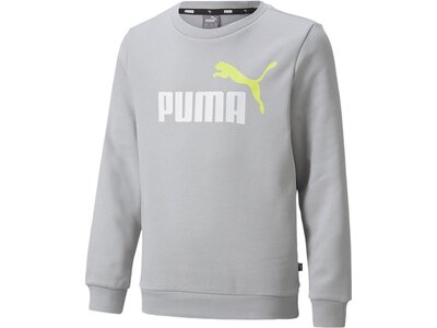 PUMA Kinder Sweatshirt ESS 2 Col Big Logo Crew Silber