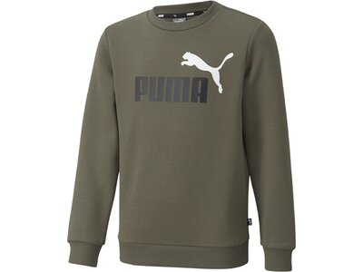 PUMA Kinder Sweatshirt ESS 2 Col Big Logo Crew Grün