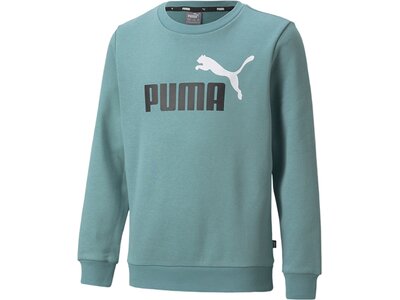PUMA Kinder Sweatshirt ESS 2 Col Big Logo Crew Grau