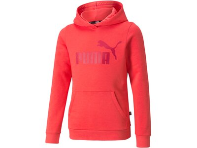 PUMA Kinder Sweatshirt ESS Logo Hoodie FL G Pink