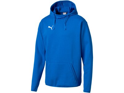PUMA Fußball - Teamsport Textil - Sweatshirts LIGA Casuals Hoody Blau