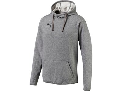 PUMA Fußball - Teamsport Textil - Sweatshirts LIGA Casuals Hoody Grau