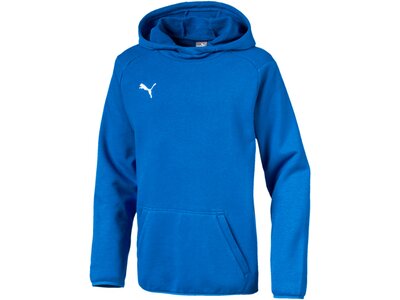 PUMA Fußball - Teamsport Textil - Sweatshirts LIGA Casuals Kapuzensweatshirt Kids Blau