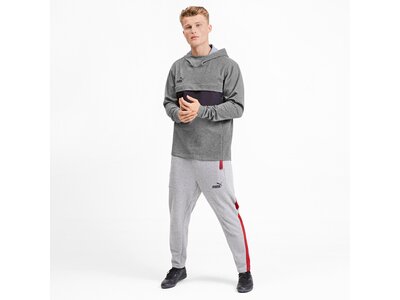 PUMA Fußball - Textilien - Sweatshirts ftblNXT Casuals Hoody Grau
