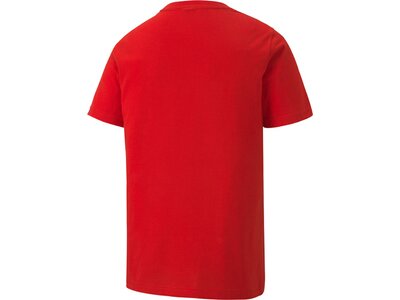 PUMA Kinder Shirt teamGOAL 23 Casuals Rot