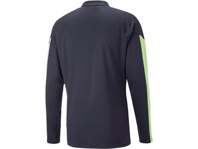 PUMA Herren Sweatshirt individualFINAL 1/4 Zip To Blau