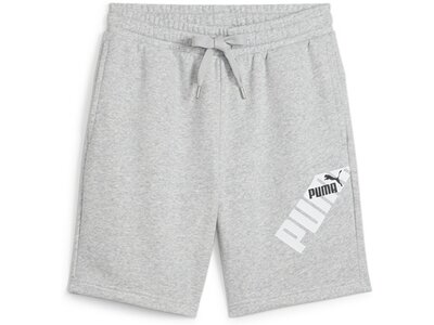PUMA Herren Shorts POWER Graphic Shorts Silber