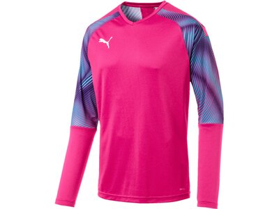 PUMA Fußball - Teamsport Textil - Torwarttrikots CUP Torwarttrikot langarm Pink