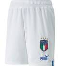 Vorschau: PUMA Kinder Shorts FIGC Shorts Replica Jr
