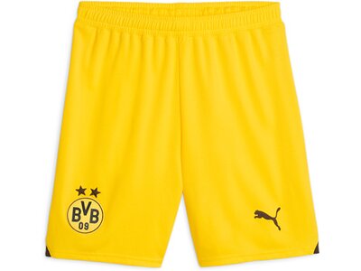 PUMA Herren Shorts BVB Shorts Replica Gold