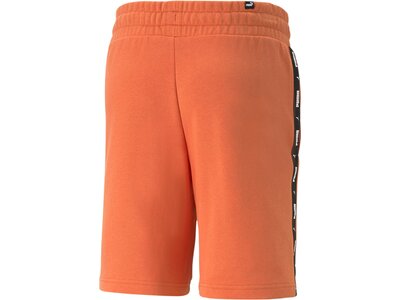 PUMA Herren Shorts ESS Tape Shorts 9 TR Orange