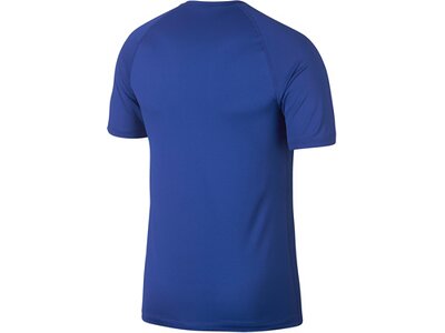 NIKE Fußball - Textilien - T-Shirts Pro Shortsleeve Shirt Blau