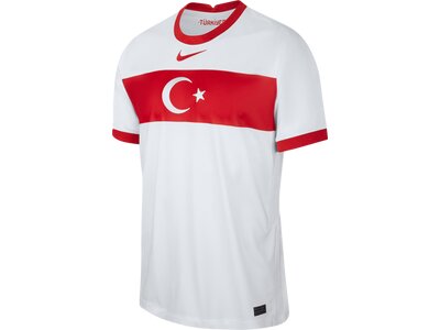 NIKE Replicas - Trikots - Nationalteams Türkei Trikot Home EM 2020 Pink