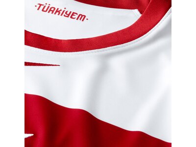 NIKE Replicas - Trikots - Nationalteams Türkei Trikot Home EM 2020 Pink