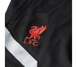 Vorschau: NIKE Replicas - Pants - International FC Liverpool Trainingshose Kids