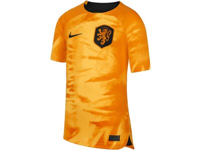 NIKE Kinder Fantrikot Niederlande 2022 Orange