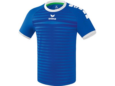 ERIMA Fußball - Teamsport Textil - Trikots Ferrara 2.0 Trikot kurzarm Kids Hell Blau